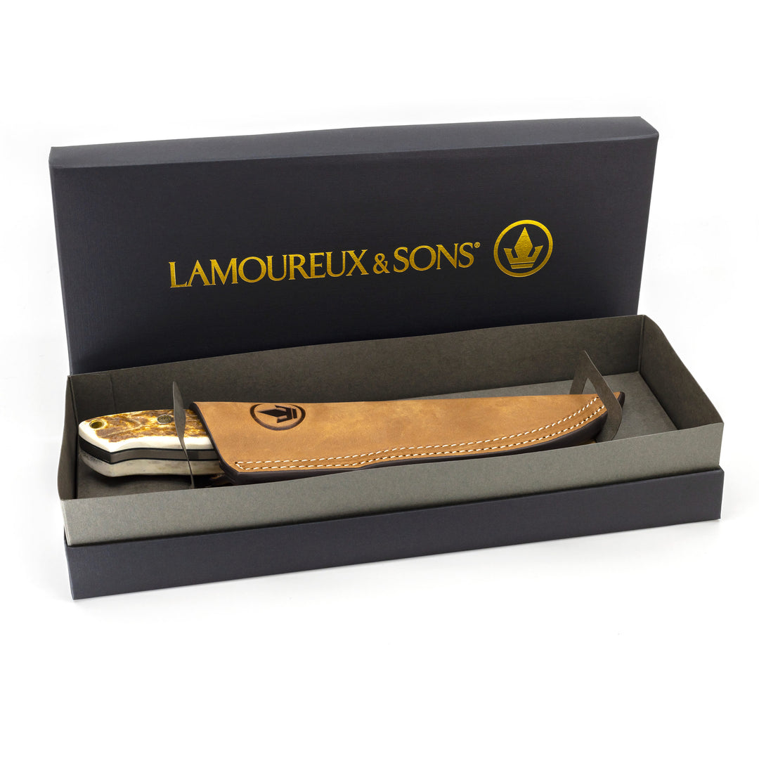 Matawini Deer stag hunting knife (Gold)